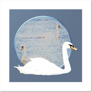 Mute Swans at the Lake Posters and Art